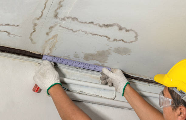 Reliable Mold Remediation contractor in Callender, CA by Water Damage Irwin